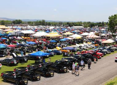 2021 Carlisle Ford Nationals - Credit Andrew Welsh (8)