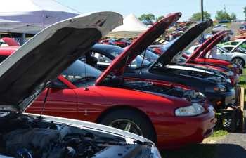 Join Us for an SVT Parade on Friday